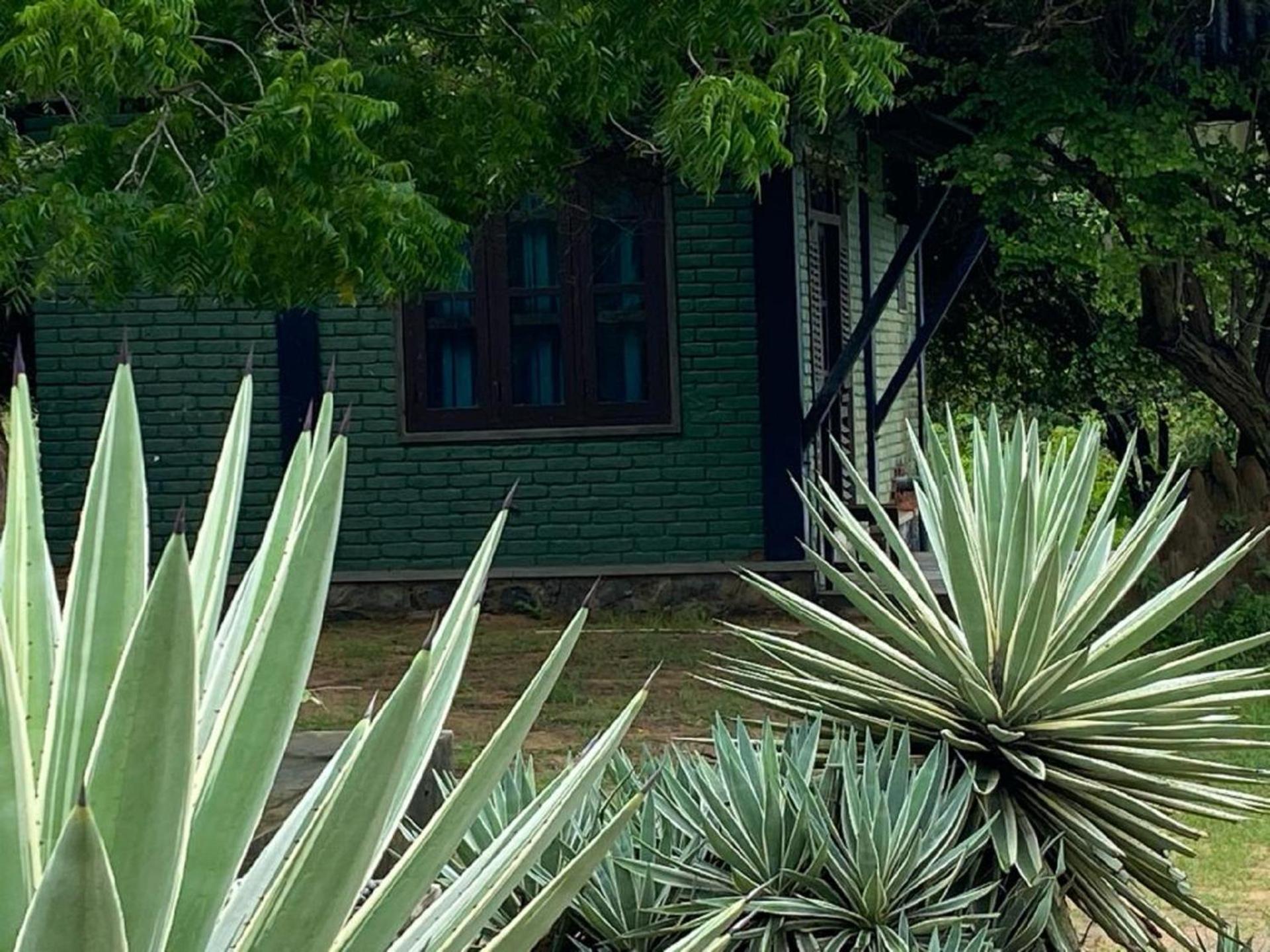 Yala Ying Yang Hostel & Camping Buitenkant foto