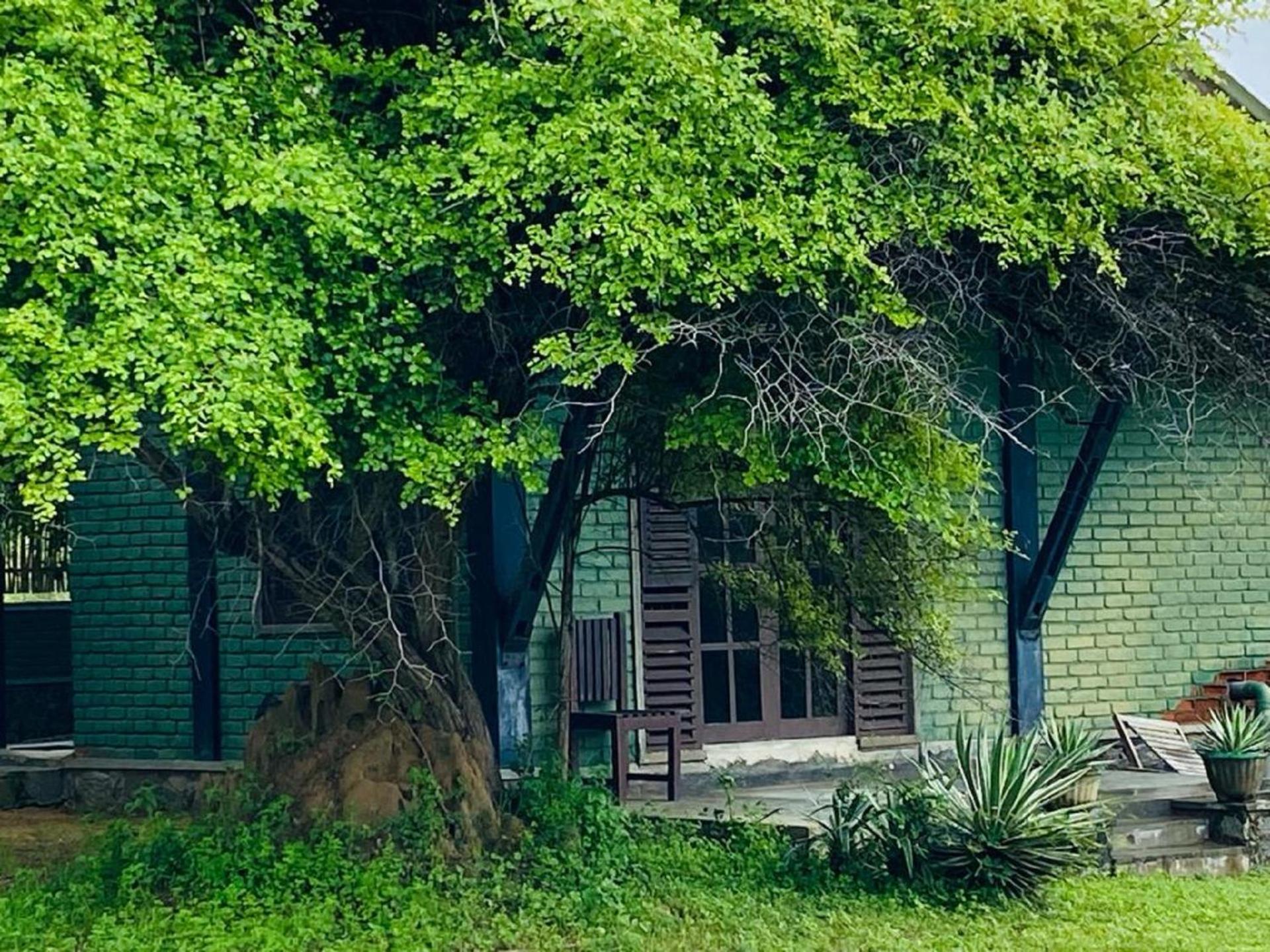 Yala Ying Yang Hostel & Camping Buitenkant foto