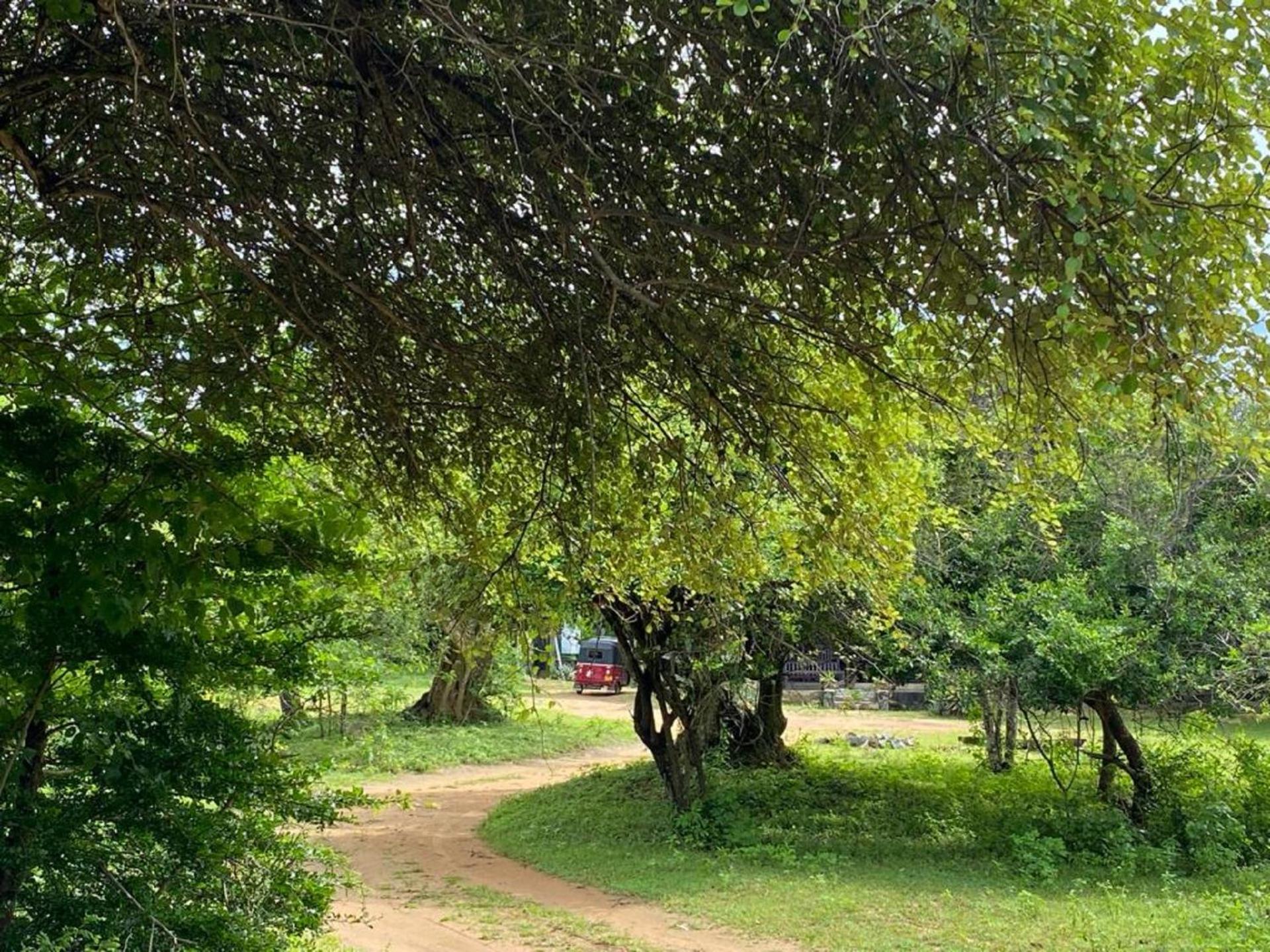 Yala Ying Yang Hostel & Camping Buitenkant foto