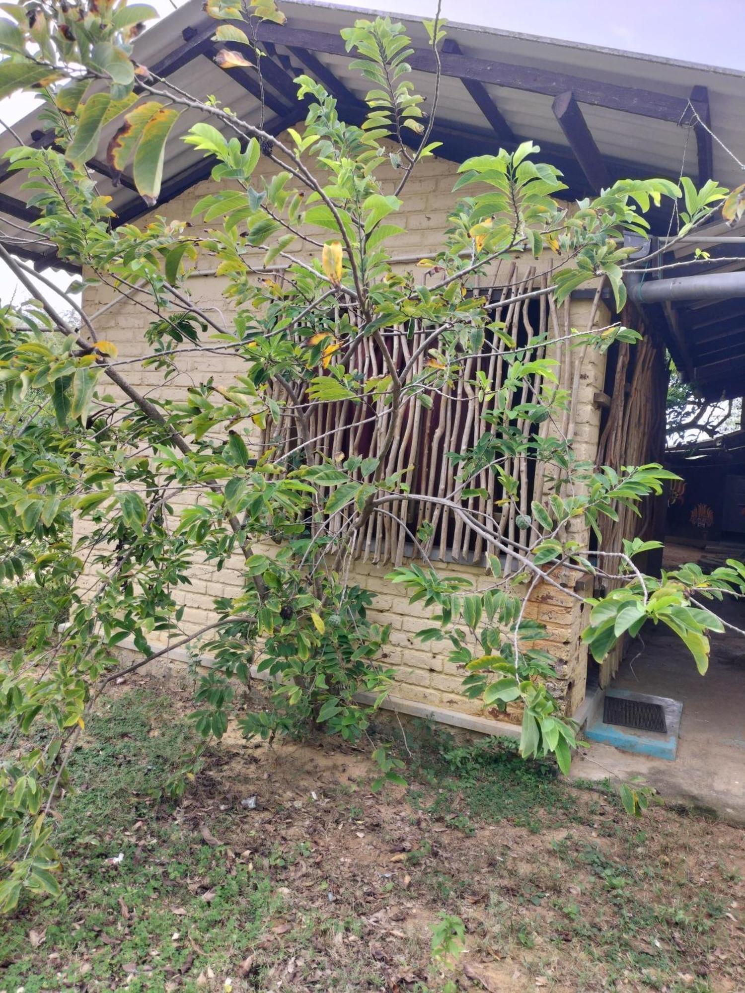 Yala Ying Yang Hostel & Camping Buitenkant foto
